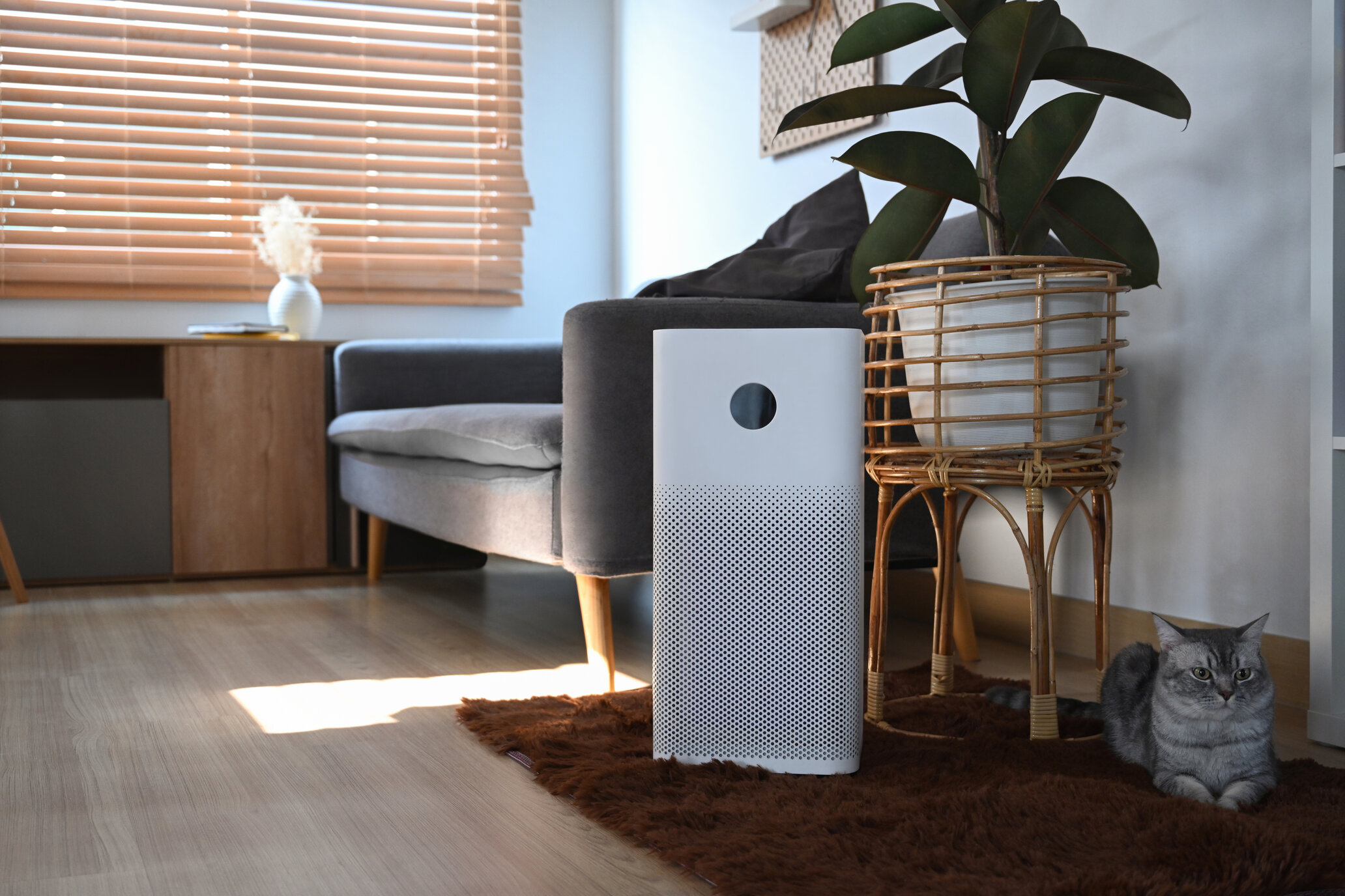 air purifier